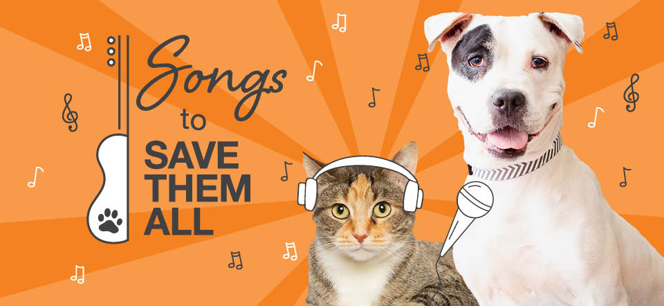 Songs to Save Them All graphic with orange background, a cat wearing headphones and dog with microphone and a half of a guitar with a paw print